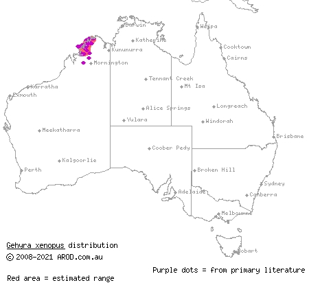 crocodile-faced dtella (Gehyra xenopus) distribution range map