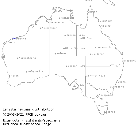 Nevin's three-toed slider (Lerista nevinae) distribution range map