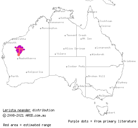 Pilbara robust slider (Lerista neander) distribution range map