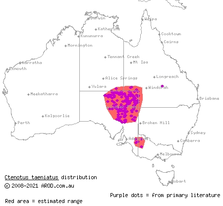 ribbon ctenotus (Ctenotus taeniatus) distribution range map