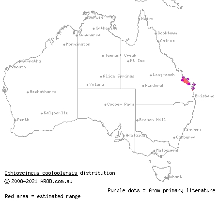 Cooloola snake-skink (Ophioscincus cooloolensis) distribution range map