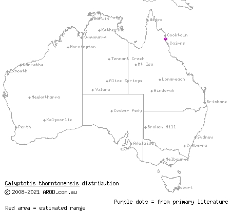 Thornton Peak calyptotis (Calyptotis thorntonensis) distribution range map