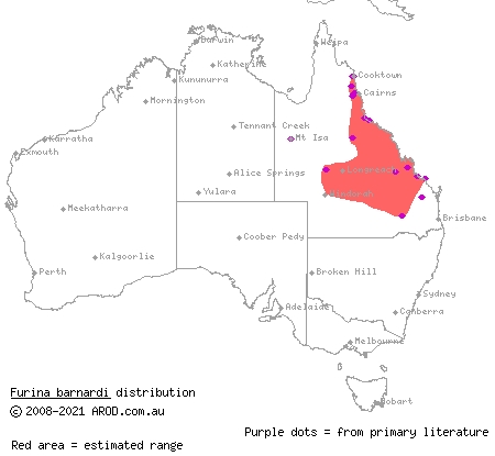 yellow-naped snake (Furina barnardi) distribution range map