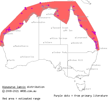 olive sea snake (Aipysurus laevis) distribution range map