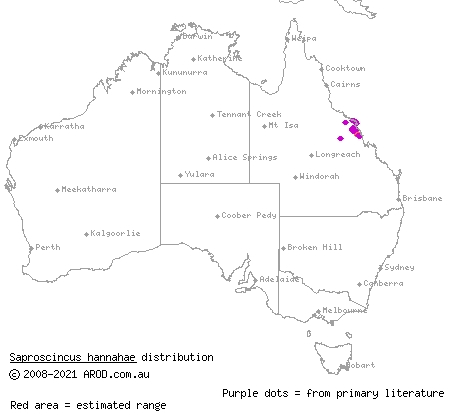 Hannah's shadeskink (Saproscincus hannahae) distribution range map