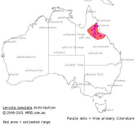 Wide-striped four-toed slider (Lerista zonulata) distribution range map