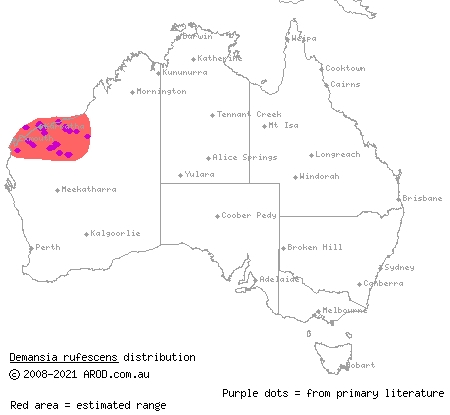 rufous whipsnake (Demansia rufescens) distribution range map