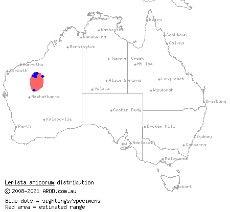 friendly slider (Lerista amicorum) distribution range map