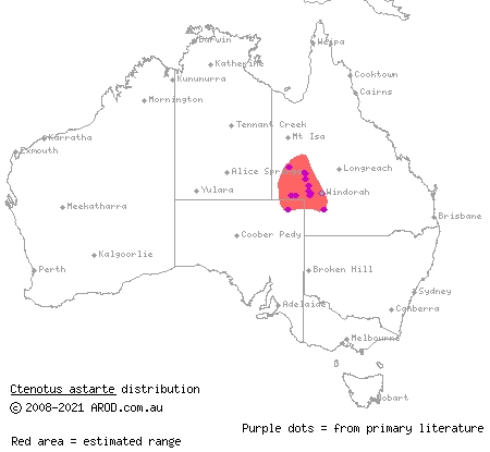 stony downs ctenotus (Ctenotus astarte) distribution range map