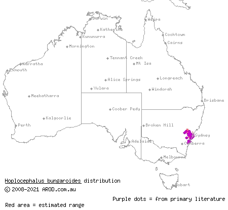 broad-headed snake (Hoplocephalus bungaroides) distribution range map