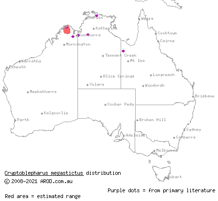 blotched snake-eyed skink (Cryptoblepharus megastictus) distribution range map