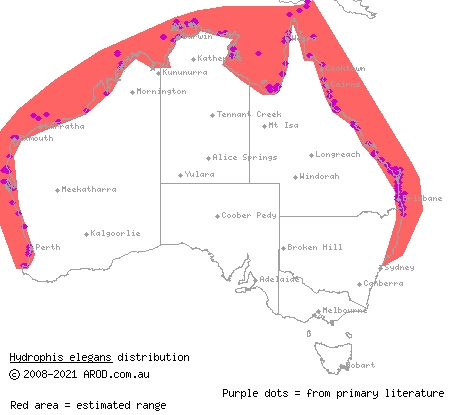 elegant sea snake (Hydrophis elegans) distribution range map