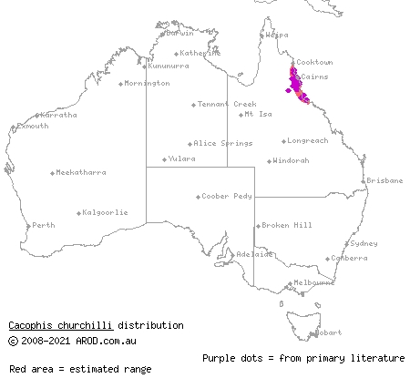 northern crowned snake (Cacophis churchilli) distribution range map