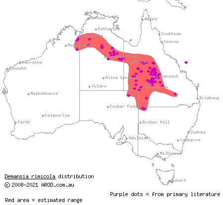 crack-dwelling whipsnake (Demansia rimicola) distribution range map
