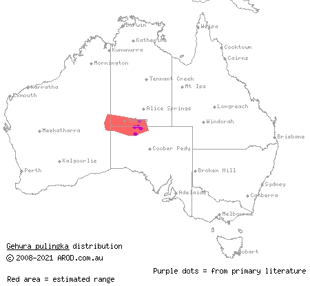 rock-dwelling dtella (Gehyra pulingka) distribution range map