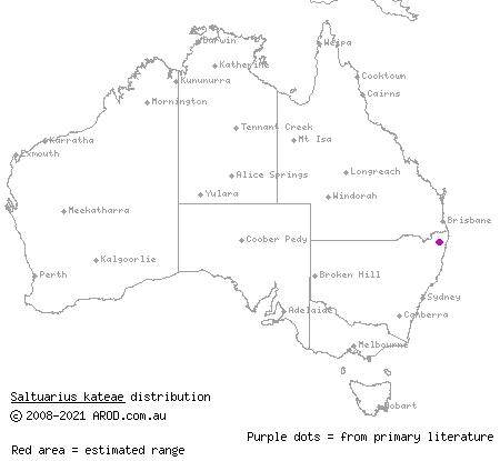 Kate's leaf-tailed gecko (Saltuarius kateae) distribution range map