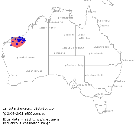 Jackson's three-toed slider (Lerista jacksoni) distribution range map