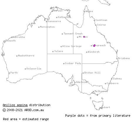no-spined blind snake (Ramphotyphlops aspina) distribution range map