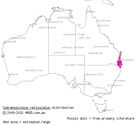 three-toed snake-tooth skink (Coeranoscincus reticulatus) distribution range map