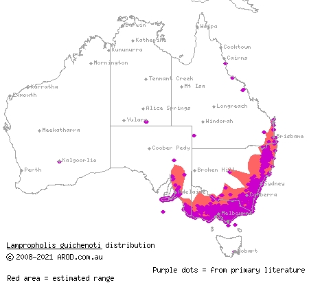 garden skink (Lampropholis guichenoti) distribution range map