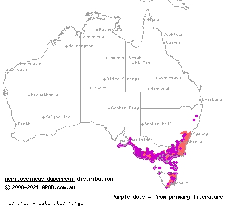 eastern three-lined skink (Acritoscincus duperreyi) distribution range map