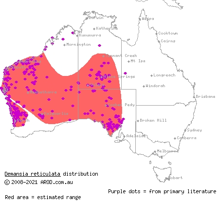 reticulated whipsnake (Demansia reticulata) distribution range map