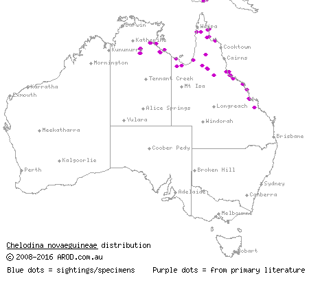 New Guinea long-necked turtle (Chelodina novaeguineae) distribution range map
