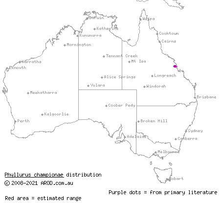 Champion's leaf-tailed gecko (Phyllurus championae) distribution range map