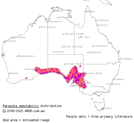 mallee black-headed snake (Parasuta spectabilis) distribution range map