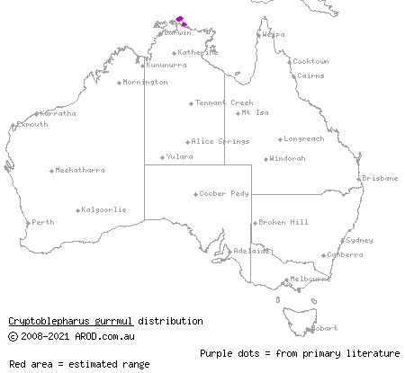 Arafura snake-eyed skink (Cryptoblepharus gurrmul) distribution range map