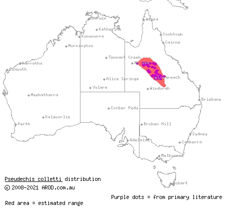 Collett's snake (Pseudechis colletti) distribution range map