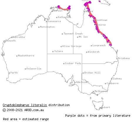 coastal snake-eyed skink (Cryptoblepharus litoralis) distribution range map