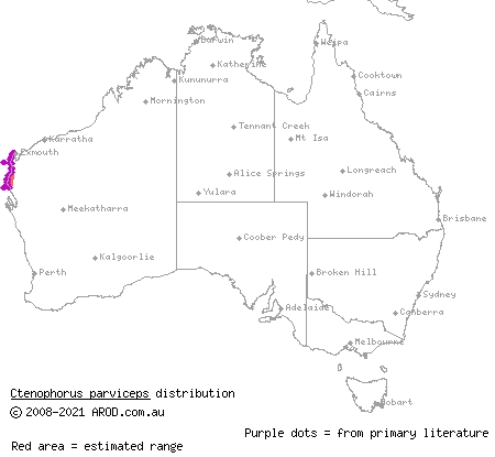 Gnaraloo heath dragon (Ctenophorus parviceps) distribution range map