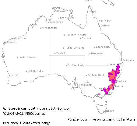 red-throated skink (Acritoscincus platynotum) distribution range map