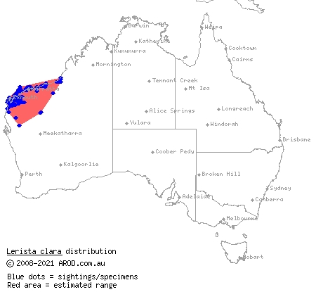 sharp-blazed three-toed slider (Lerista clara) distribution range map
