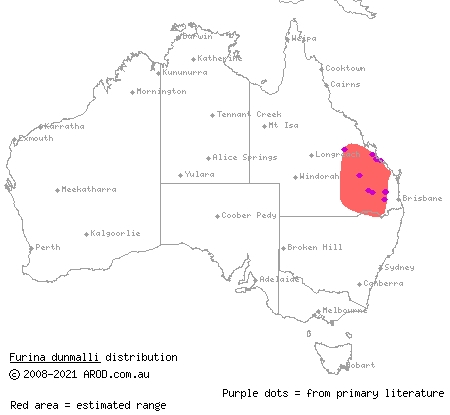 Dunmall's snake (Furina dunmalli) distribution range map