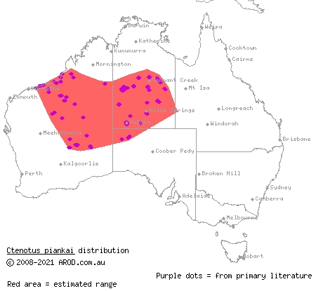 coarse sands ctenotus (Ctenotus piankai) distribution range map