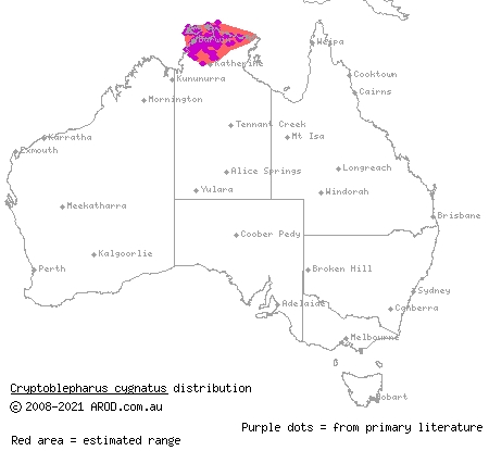 Swanson's snake-eyed skink (Cryptoblepharus cygnatus) distribution range map