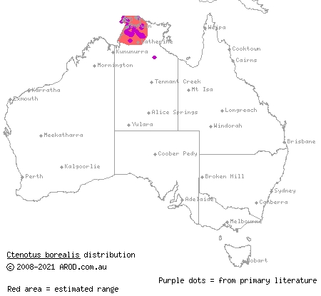 white-faced ctenotus (Ctenotus borealis) distribution range map