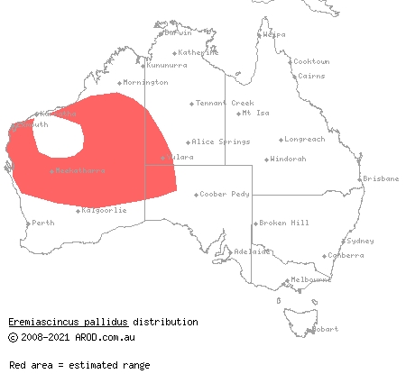 western narrow-banded skink (Eremiascincus pallidus) distribution range map