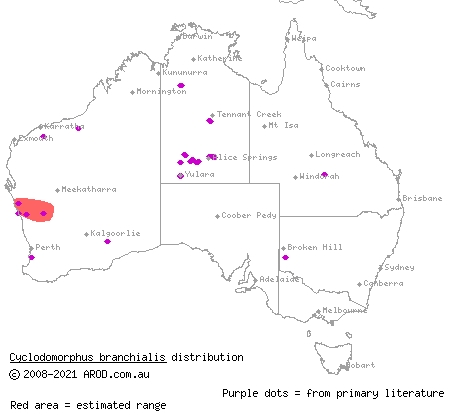 gilled slender blue-tongue (Cyclodomorphus branchialis) distribution range map