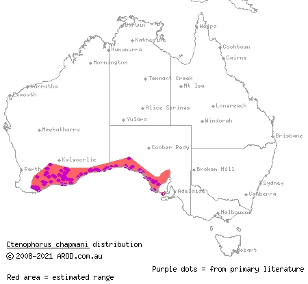 eastern heath dragon (Ctenophorus chapmani) distribution range map