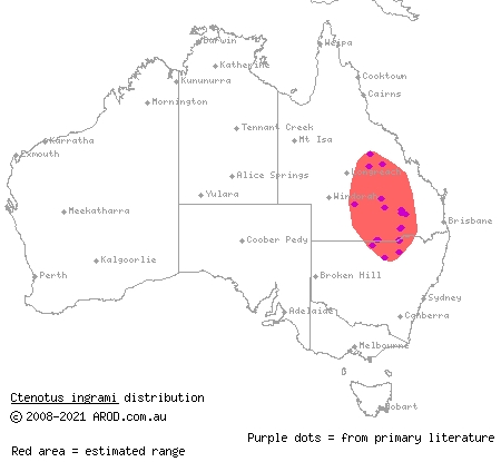 unspotted yellow-sided ctenotus (Ctenotus ingrami) distribution range map