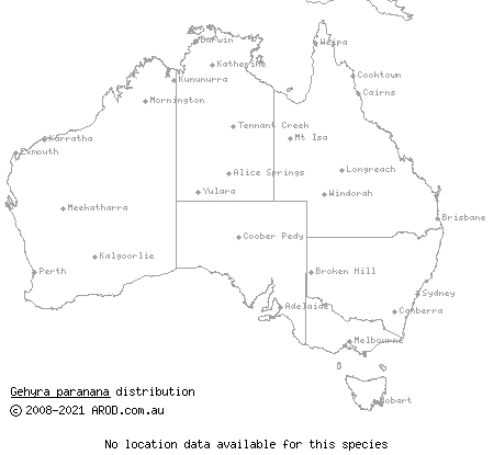 Litchfield spotted gecko (Gehyra paranana) distribution range map