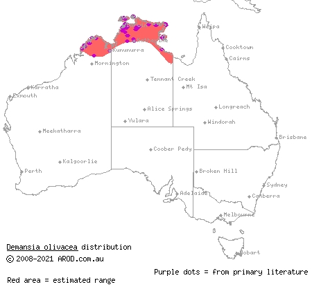 olive whipsnake (Demansia olivacea) distribution range map