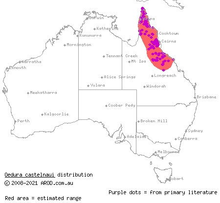 northern velvet gecko (Oedura castelnaui) distribution range map