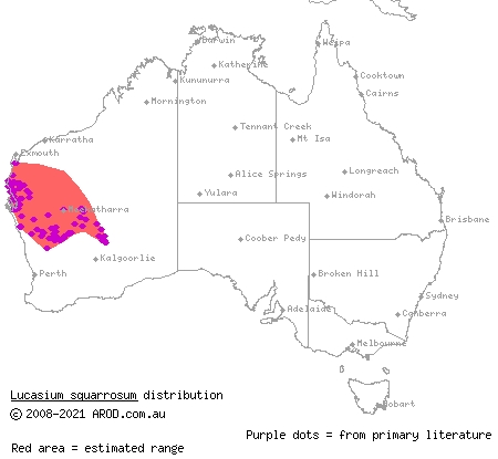 mottled ground gecko (Lucasium squarrosum) distribution range map