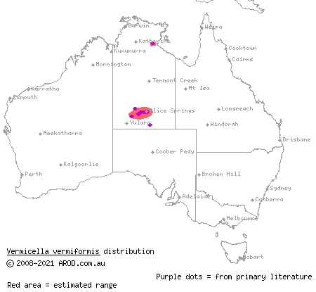 centralian bandy-bandy (Vermicella vermiformis) distribution range map