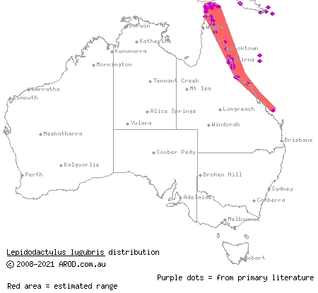 mourning gecko (Lepidodactylus lugubris) distribution range map