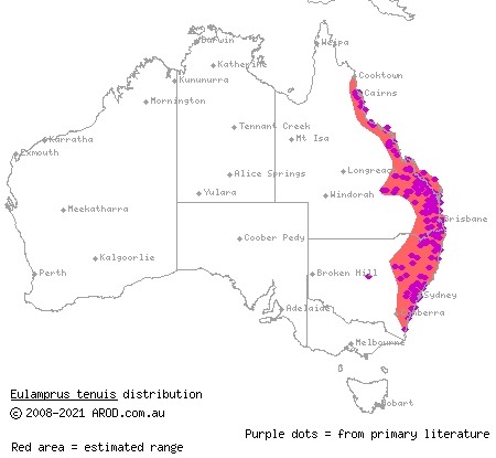 bar-sided forest-skink (Eulamprus tenuis) distribution range map